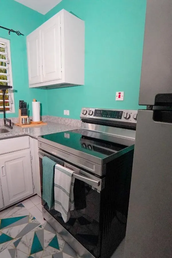Lola'S Tropical Oasis Apartment Montego Bay